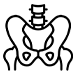 pelvis icon